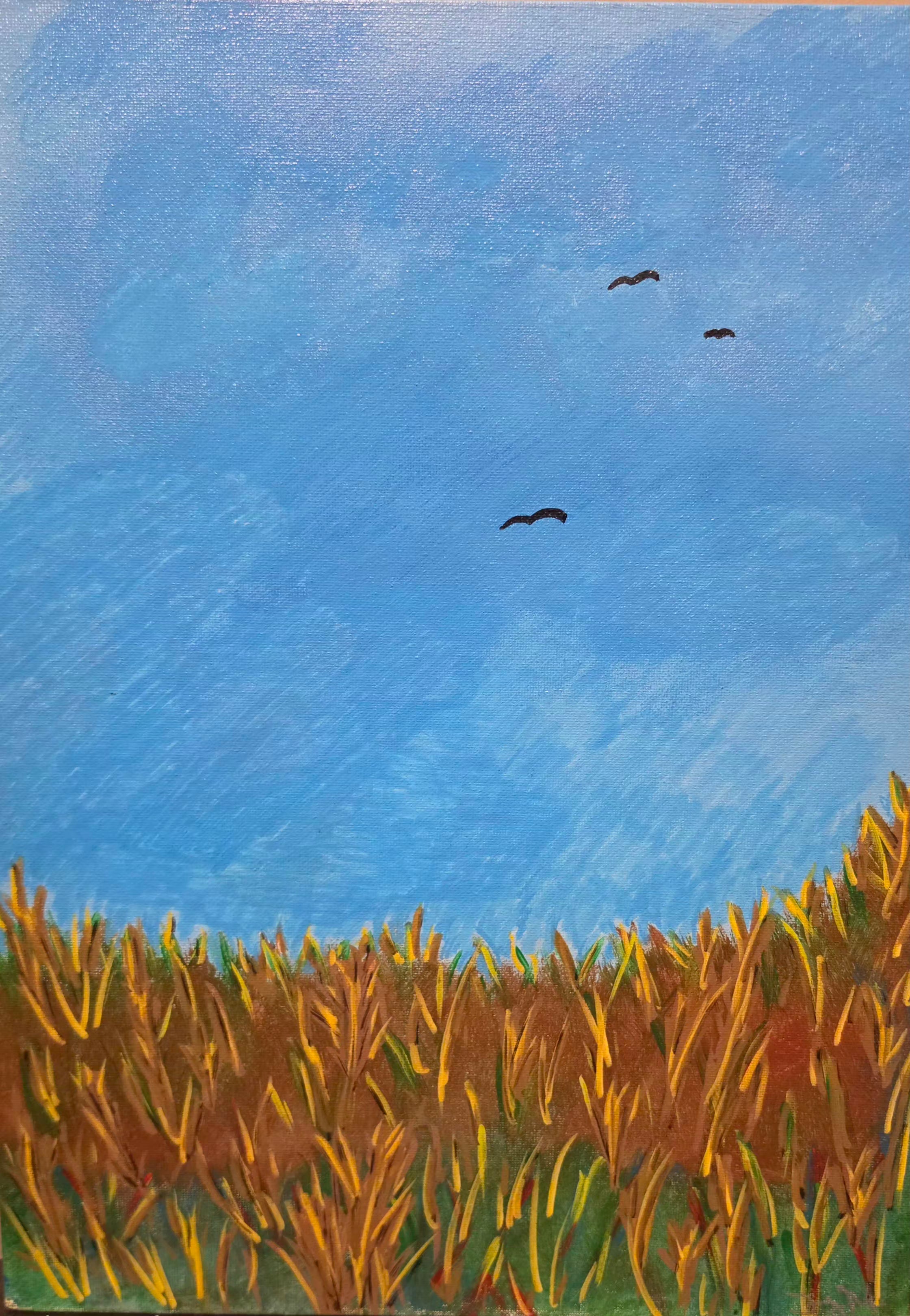 The Fly Over 12x16 Acrylic on Canvas board