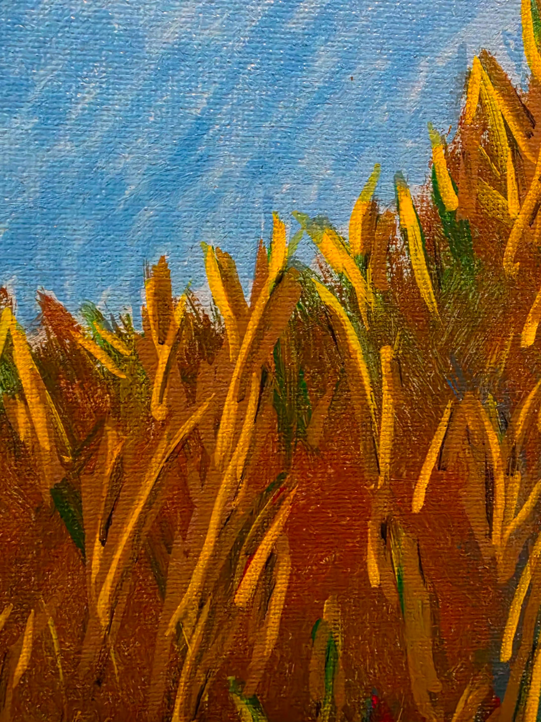 The Fly Over 12x16 Acrylic on Canvas board