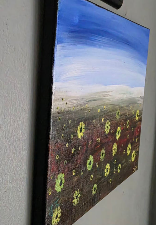 Daisy field 11x14 Acrylic on Canvas